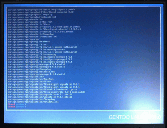 gentoo screen shoot